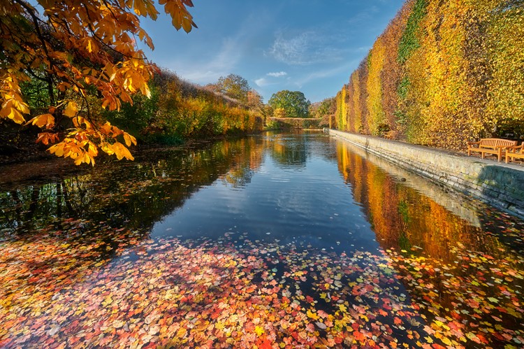 Herfst in het Oliwski park - Gdańsk - Polen